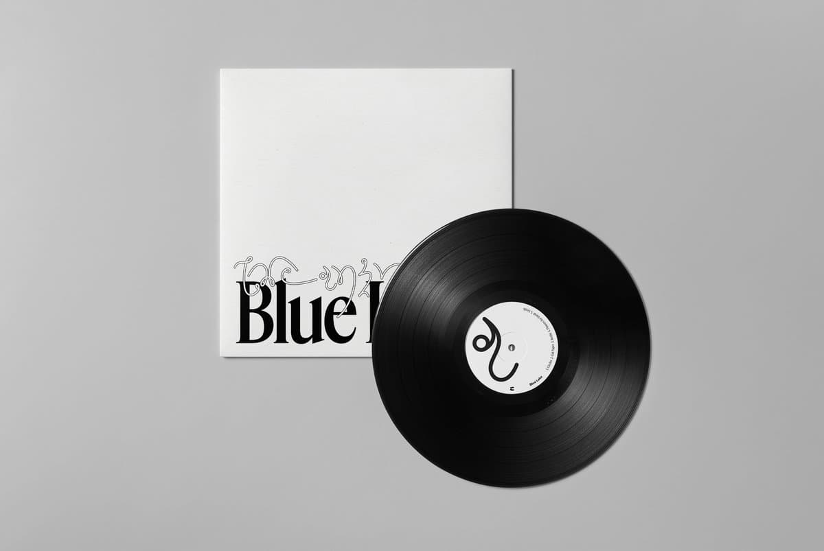 Vinyl record with a white label and a matching sleeve on a gray background