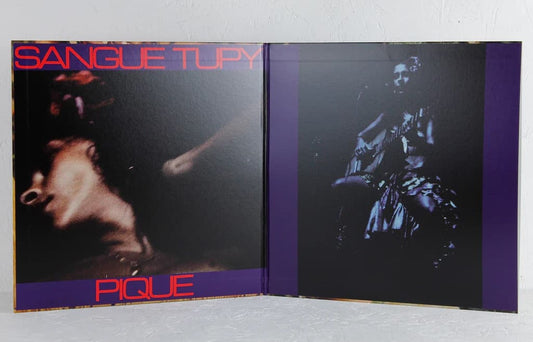 Gatefold vinyl reissue of Gal Costa’s India by Mr Bongo, featuring original 1973 banned artwork and high-spec Japanese pressing.