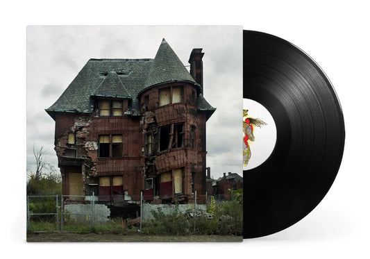 Hiding Places LP reissue by billy woods & Kenny Segal on black vinyl. 2024 pressing with restored crumbling-house cover art and gatefold jacket.