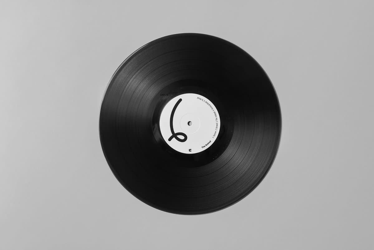 Black vinyl record with a label on a gray background