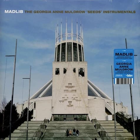 Cover art for Madlib & Georgia Anne Muldrow - Seeds Instrumentals