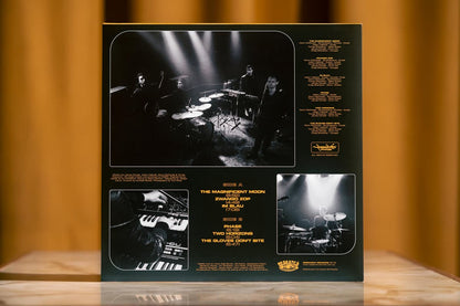 Cover of Mildlife's Phase LP on black vinyl—psychedelic jazz-funk fusion from Melbourne, packed with cosmic grooves, dreamy synths, and hypnotic rhythms.