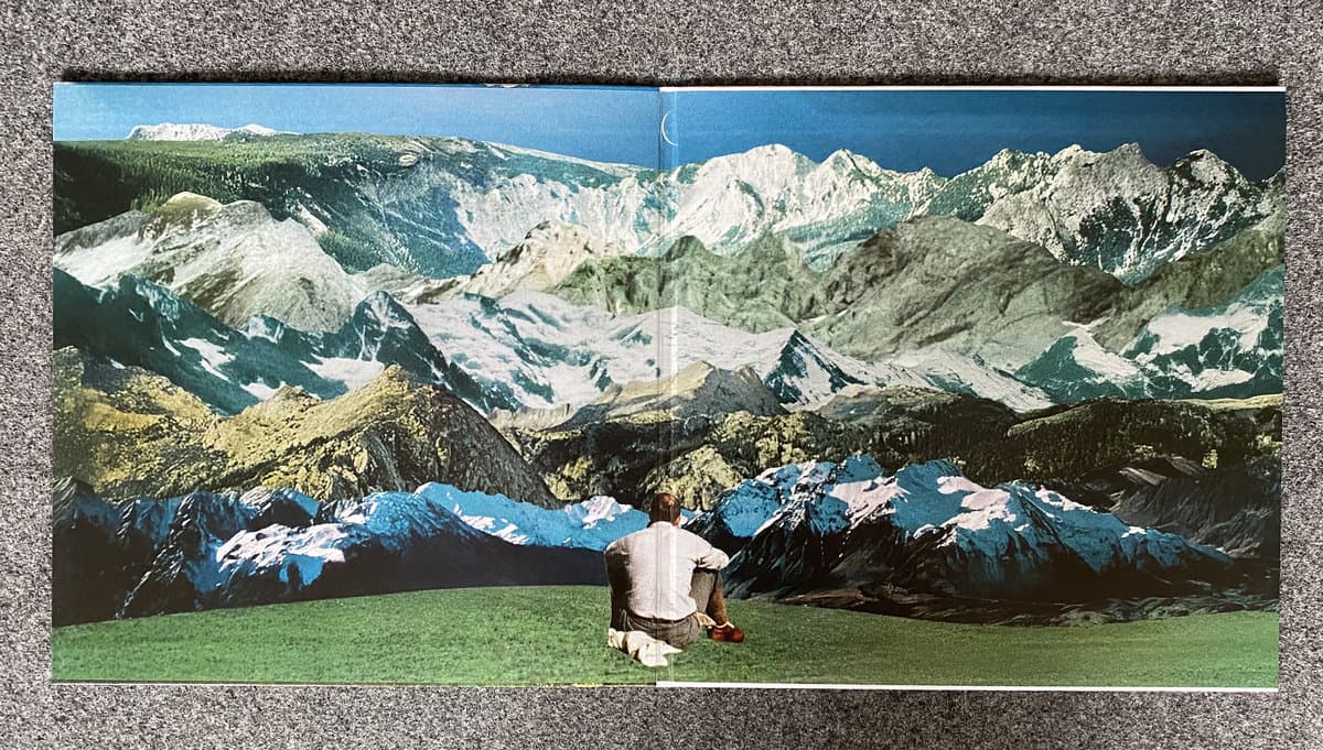 Gatefold artwork for Misha Panfilov - Days As Echoes, featuring a painting of a person sitting on a grassy area with mountains in the background