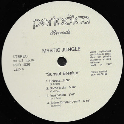 Record label from Periodica Records with tracklist and branding