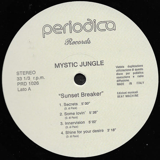 Record label from Periodica Records with tracklist and branding