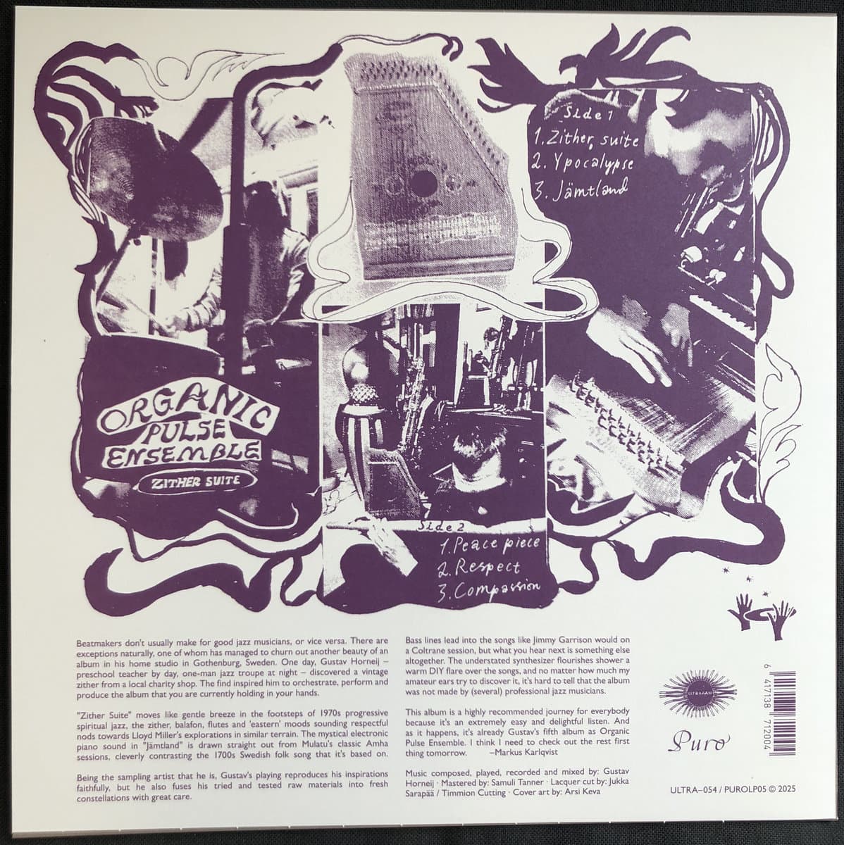 Back cover art for Organic Pulse Ensemble - Zither Suite 