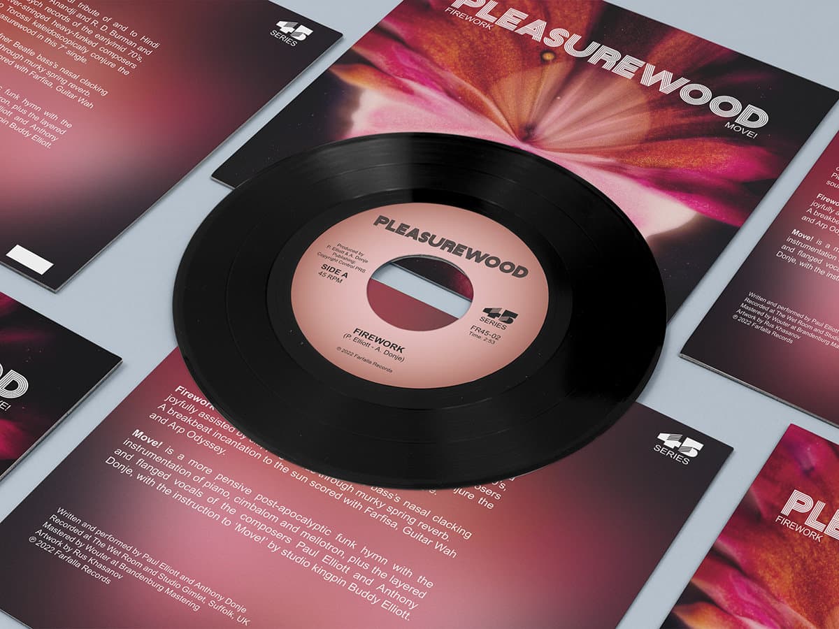 Vinyl record with 'Pleasurewood' on a matching sleeve against a light gray background