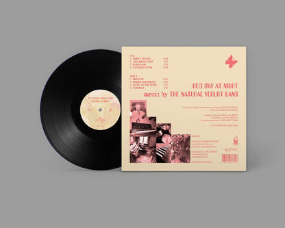 Vinyl record with its cover displaying album art and text on a gray background