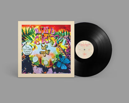 Vinyl record with colorful cover featuring text and graphics on a gray background