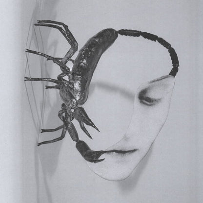 Cover art for Tortoise - Touch featuring a black and white pencil sketch of a face and a scorpion