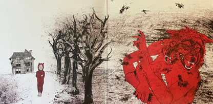 Hiding Places LP reissue by billy woods & Kenny Segal on black vinyl. 2024 pressing with restored crumbling-house cover art and gatefold jacket.
